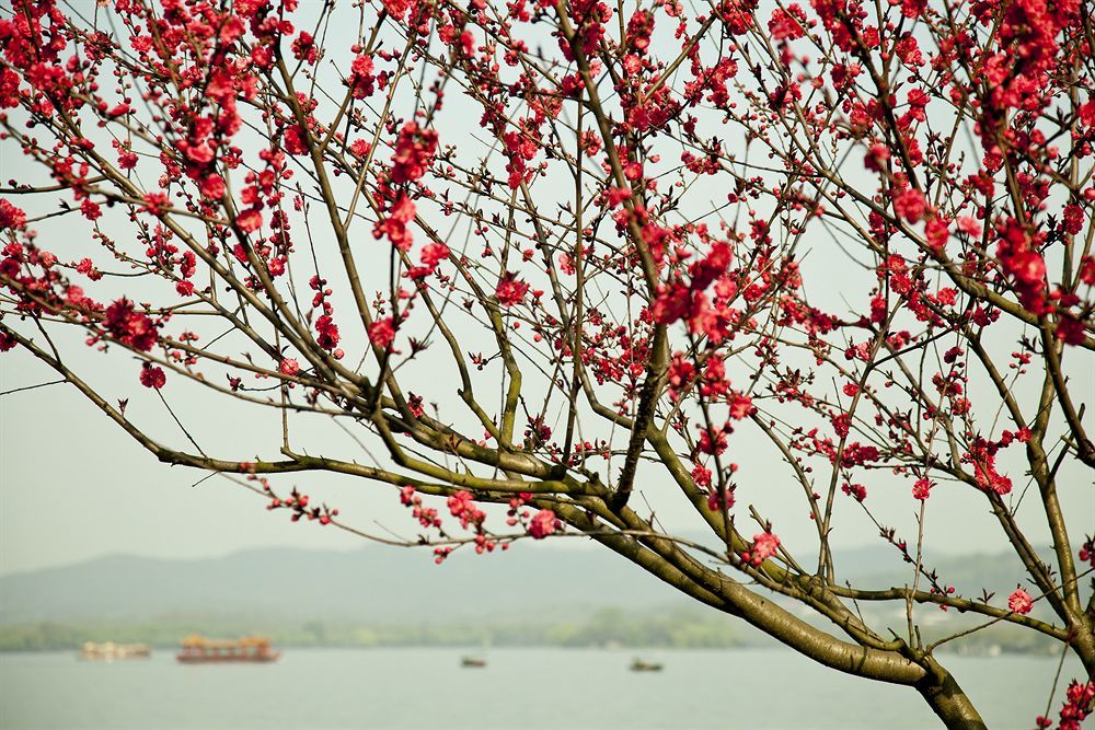 Liuying Hotel West Lake Hangzhou Eksteriør billede